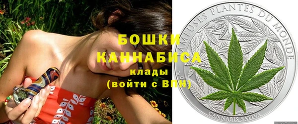 шишки Михайлов
