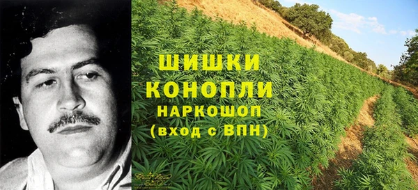 дурь Михайловск