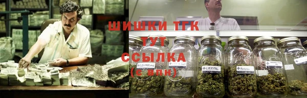 шишки Михайлов