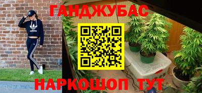 шишки Жуковский