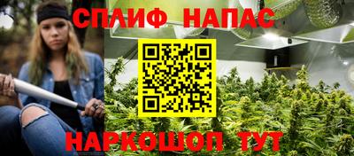шишки Жуковский