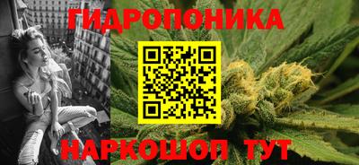 шишки Жуковский