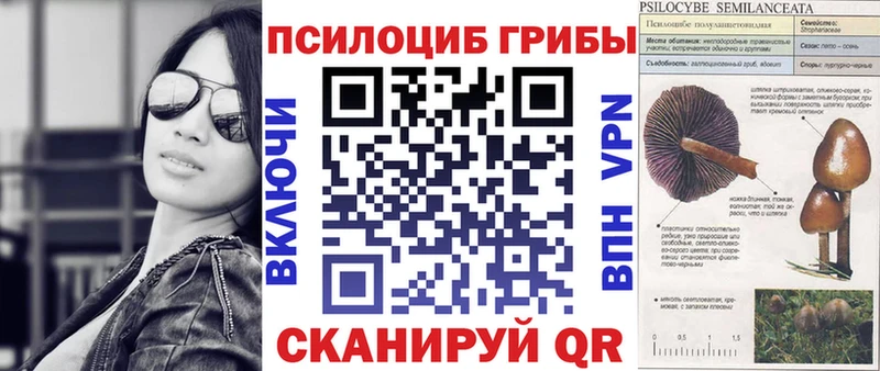 Купить где  Печора  Псилоцибиновые грибы Psilocybe 