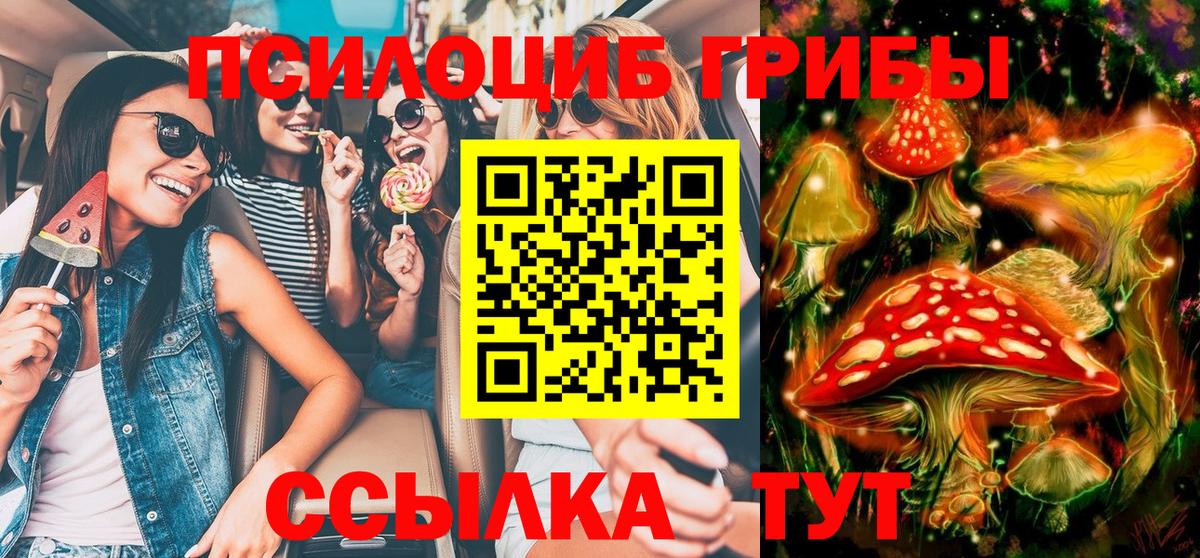 Печора  где купить наркотик  Вход с VPN  Псилоцибиновые грибы Psilocybe 