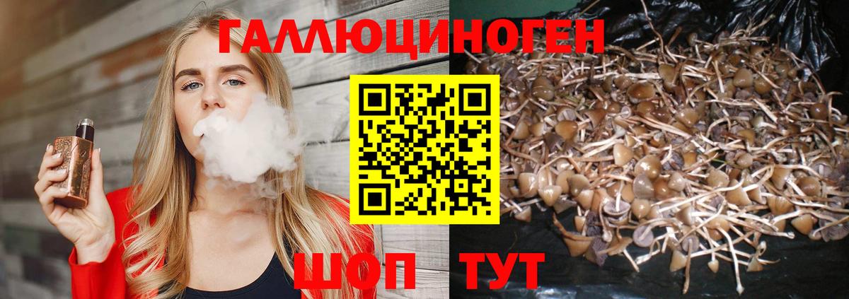 Галлюциногенные грибы Magic Shrooms Печора