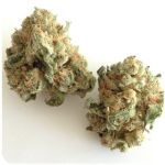 Шишки "White Widow"  (Белая вдова)  Гидропоника -  Бошка VHQ в Печоре
